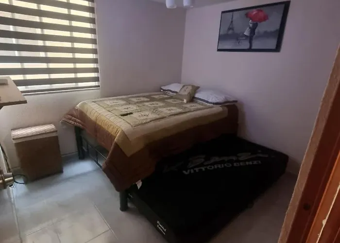 Apartamento El Depa De Natalia A Min De Aeropuerto Y Estadio Gnp